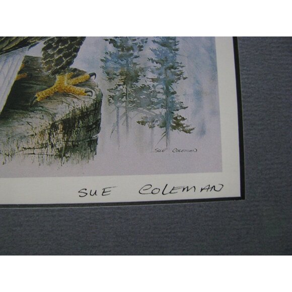 Sue Colemans "The Eagle" Framed Art Print - Picture 3 of 12